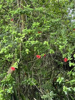 San Gervasio by null