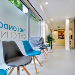 The London Cat Clinic