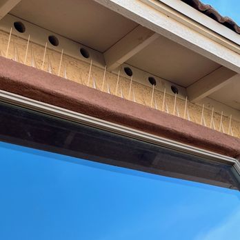 DePalmas Residential Services - Window Washing Near Me - Goodyear, Arizona DePalmas Residential Services - Window Washing Near Me - Goodyear, Arizona