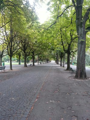 Reformation Wall by null