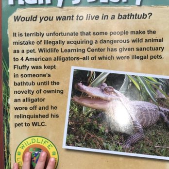 Wildlife Learning Center - Zoos Near Me - Sylmar, California