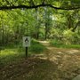 Photo of Big Creek Greenway