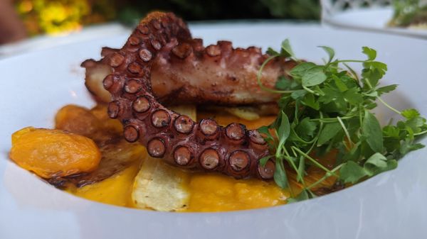 Milk & Roses by null