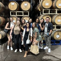 Sonoma Napa Luxe Tour & Transportation - Our group of beautiful nurses who enjoyed a day out of wine tasting