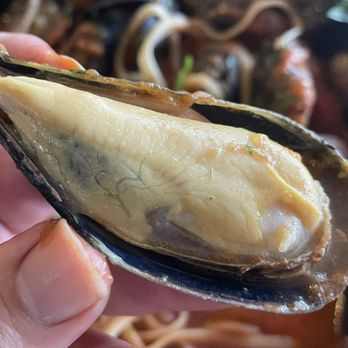 Valeria - Huge, plump mussel - Pizza Near Me - Boerne, Texas Valeria - Huge, plump mussel - Pizza Near Me - Boerne, Texas