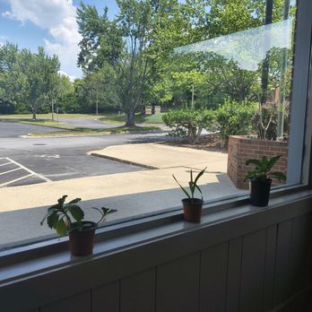 Black Ginger - Sushi Bars Near Me - Greensboro, North Carolina Black Ginger - Sushi Bars Near Me - Greensboro, North Carolina