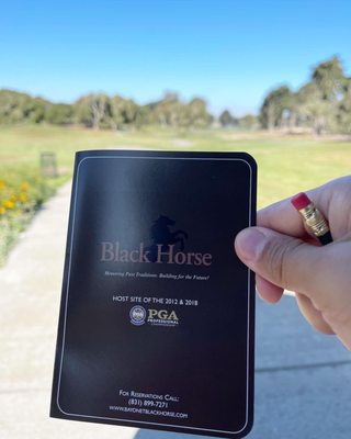 Bayonet & Black Horse by null