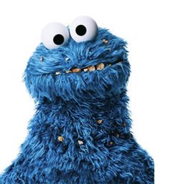 I would post a pic of the cookies but I feel it wouldn't make the point I'm trying to make as well as this one does.