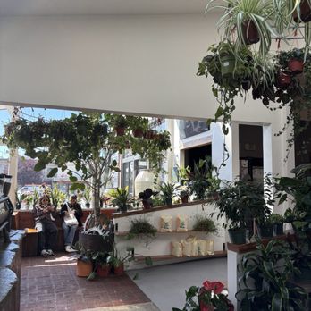 11th Hour Coffee - Coffee + Plants = - Coffee & Tea Near Me - Santa Cruz, California