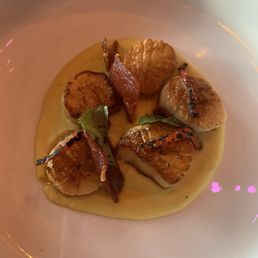 The chef's special - scallops The chef's special - scallops