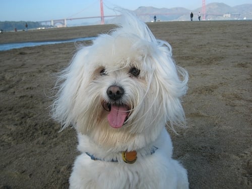 Crissy Field Center by null