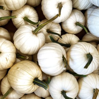Butterfields Farm Market - a box of white pumpkins - Fruits & Veggies Near Me - Oxford, Ohio Butterfields Farm Market - a box of white pumpkins - Fruits & Veggies Near Me - Oxford, Ohio
