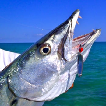 Key West Fishing Charters - Fishing Near Me - Key West, Florida Key West Fishing Charters - Fishing Near Me - Key West, Florida