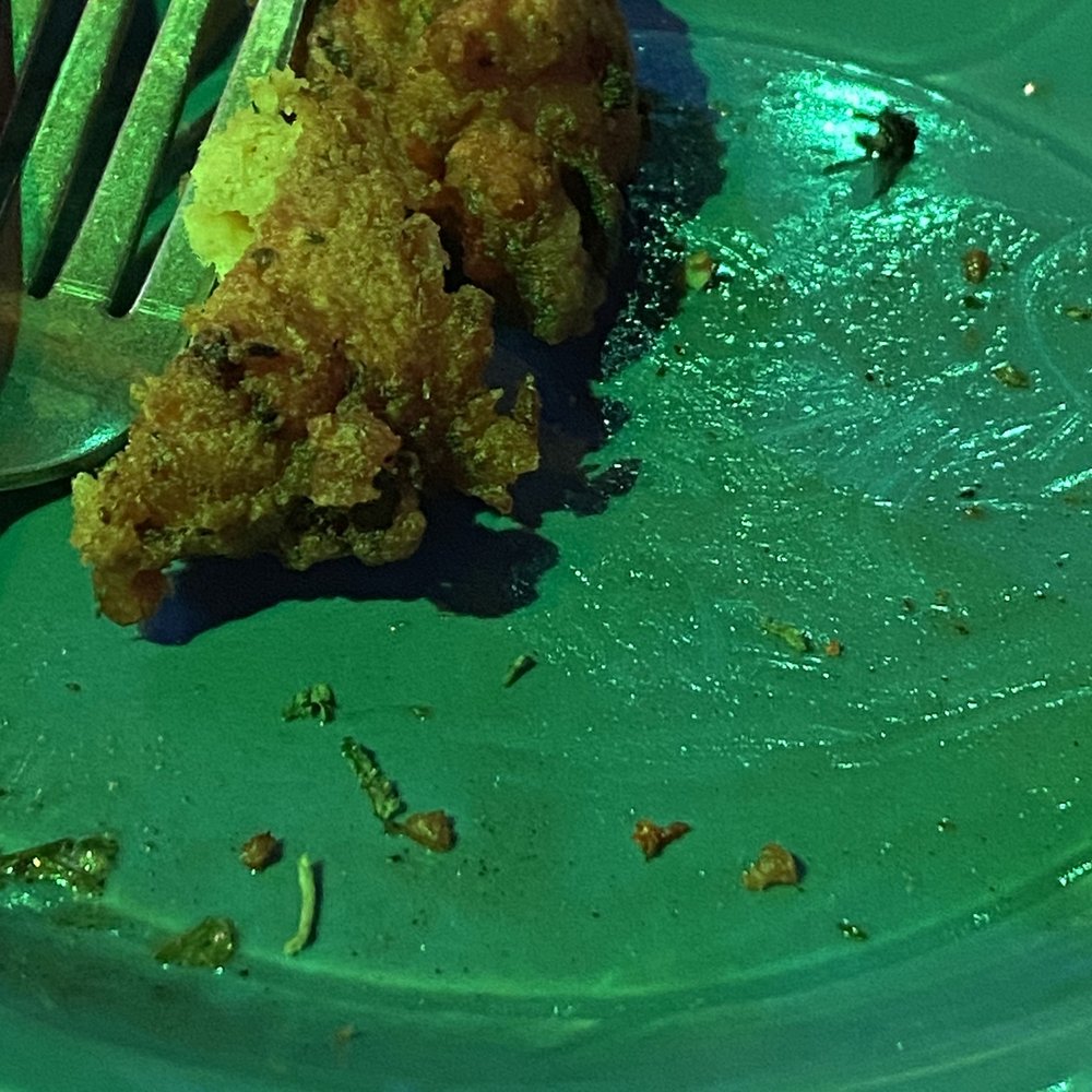 Squid Lips - Fritter with a dead bug - Seafood Near Me - Cocoa Beach, Florida Squid Lips - Fritter with a dead bug - Seafood Near Me - Cocoa Beach, Florida