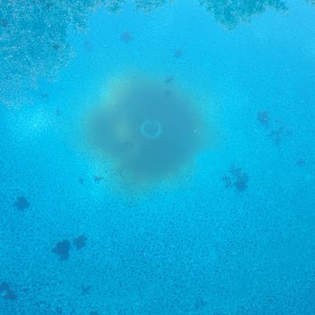 Worldwide Concrete - Mud started coming up through the drain in the pool when they broke the skimmer. - Masonry/Concrete Near Me - Pasadena, Maryland