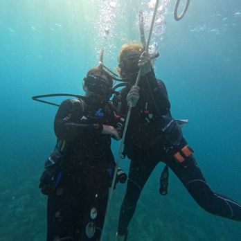 Ace Diving Miami - Here we are she's doing it. Thanks Pat for taking this photo!!!! - Scuba Diving Near Me - Miami, Florida Ace Diving Miami - Here we are she's doing it. Thanks Pat for taking this photo!!!! - Scuba Diving Near Me - Miami, Florida