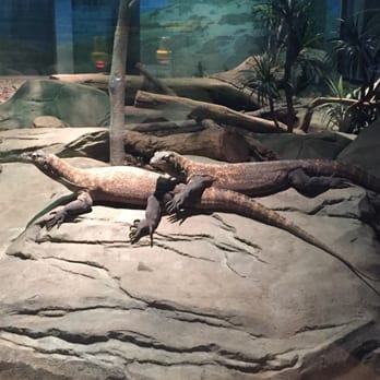 Akron Zoo - Zoos Near Me - Akron, Ohio