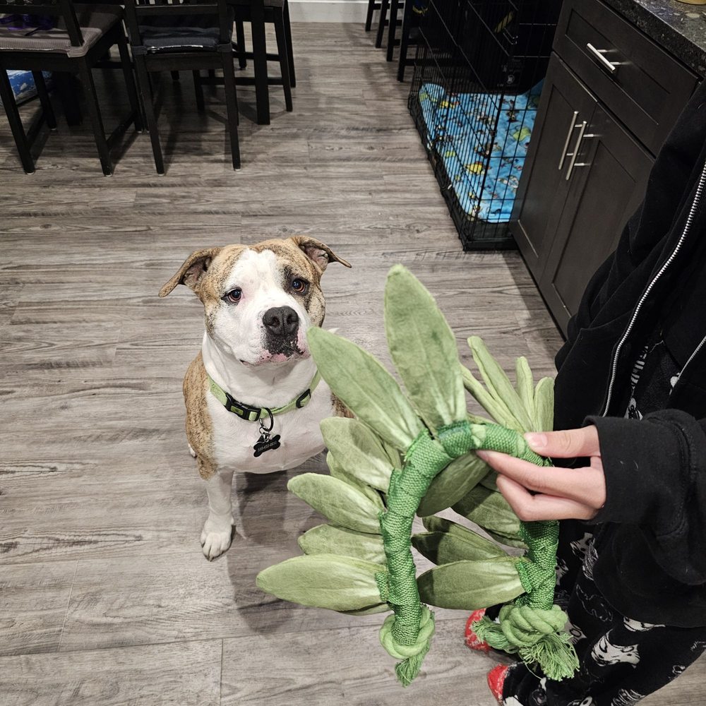 What a good boy. What a good boy.
