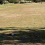 Photo of Pebble Creek Executive Golf Course