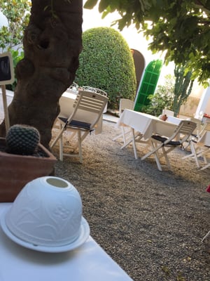 Bella Verde - Restaurante Vegano en Puerto de Pollença, Mallorca by null