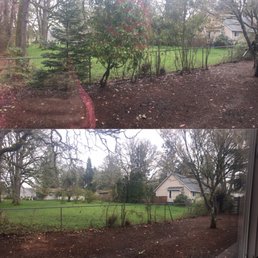 Before and After Before and After