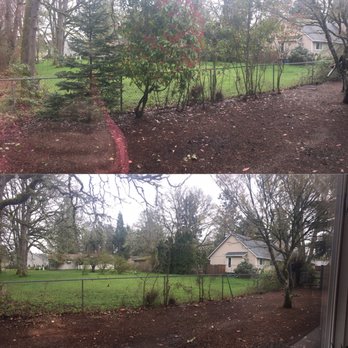 Marble Tree Service - Before and After - Tree Services Near Me - Forest Grove, Oregon Marble Tree Service - Before and After - Tree Services Near Me - Forest Grove, Oregon