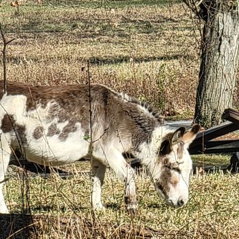 Carriage Hill MetroPark - Parks Near Me - Dayton, Ohio