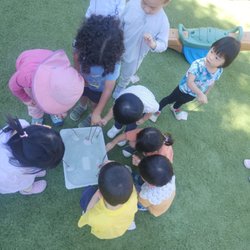 Arcadia Montessori School