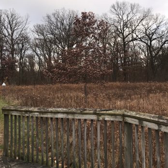 Ryerson Woods Forest Preserve - Hiking Near Me - Riverwoods, Illinois