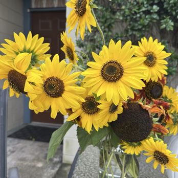 Parker Flower Farms - Pick Your Own Farms Near Me - Elkton, Florida Parker Flower Farms - Pick Your Own Farms Near Me - Elkton, Florida