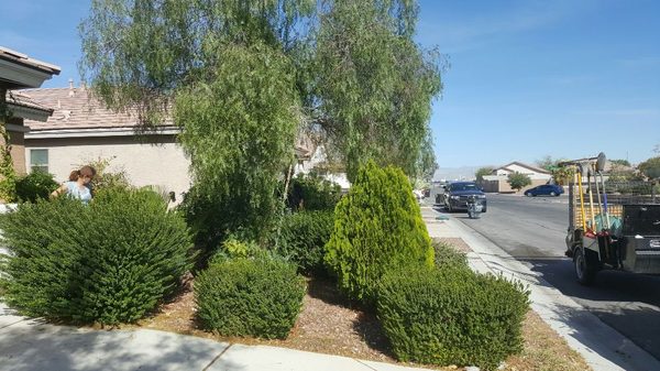 Tree Trimming - 702-806-0640 - Expert Tree Trimming Services in Henderson, NV
In search of professional tree care in Henderson, NV? Your search ends here. Bullseye Outdoor Services, LLC boasts over two decades of experience, proudly serving our community with excellence. We've earned a reputation for delivering high-quality tree care that ensures the utmost attention to your trees. Equipped with the right tools and employing respectful pruning techniques, we are committed to providing the best care for your trees. Contact us today for further information!
different-tree-services-in-henderson-nv
Experience Our Exceptional Tree Trimming Services
Caring for Your Trees
At Bullseye Outdoor Services, LLC, we offer tree care services customized to meet the unique needs of each tree. We recognize the vital ecological and aesthetic roles that trees play, and our approach aims to strike a harmonious balance between the two. Some of our tree care services include:
Tree pruning services
Tree trimming services
Limb reduction services
Give your trees the care they deserve by choosing our expert services. Tree Trimming - 702-806-0640 - Expert Tree Trimming Services in Henderson, NV
In search of professional tree care in Henderson, NV? Your search ends here. Bullseye Outdoor Services, LLC boasts over two decades of experience, proudly serving our community with excellence. We've earned a reputation for delivering high-quality tree care that ensures the utmost attention to your trees. Equipped with the right tools and employing respectful pruning techniques, we are committed to providing the best care for your trees. Contact us today for further information!
different-tree-services-in-henderson-nv
Experience Our Exceptional Tree Trimming Services
Caring for Your Trees
At Bullseye Outdoor Services, LLC, we offer tree care services customized to meet the unique needs of each tree. We recognize the vital ecological and aesthetic roles that trees play, and our approach aims to strike a harmonious balance between the two. Some of our tree care services include:
Tree pruning services
Tree trimming services
Limb reduction services
Give your trees the care they deserve by choosing our expert services.