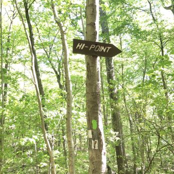 Norvin Green State Forest - Trail green and white - Hiking Near Me - Ringwood, New Jersey