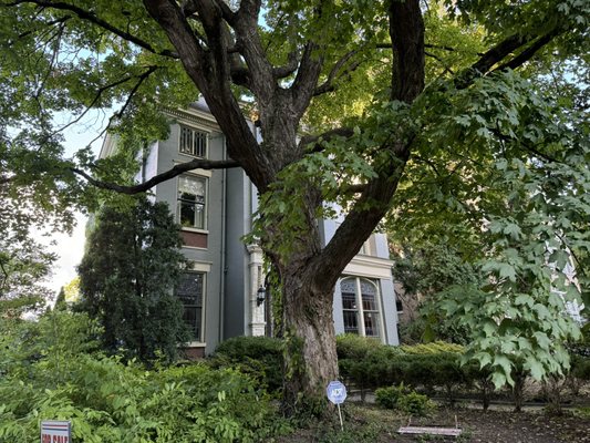 Louisville Historic Tours by null