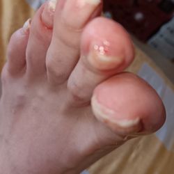 NAILS OF AMERICA