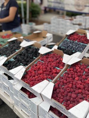 Issaquah Farmers Market by null