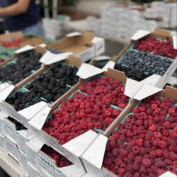 Issaquah Farmers Market