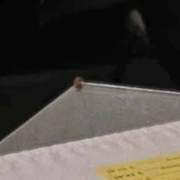 Roach waving good bye