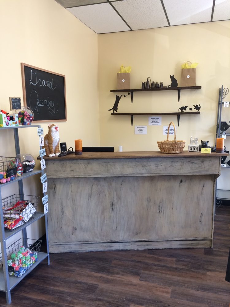 COZY CATS HOTEL Updated May 2024 18 Photos & 17 Reviews 329 N Harrison Ave, Cary, North