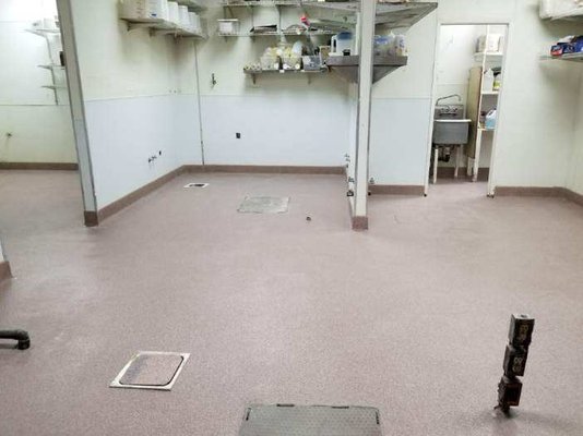 Loving Hut San Diego - We demoed an old deteriorating epoxy floor and replaced with a Quartz Epoxy Floor.
