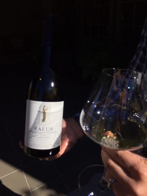 Staglin Family Vineyard by null