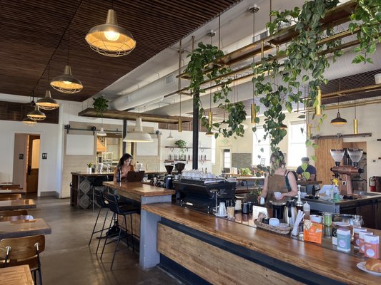 Steam Espresso Bar by null