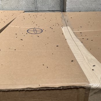 Wall Street Storage - Bat guano on a box in a unit - Self Storage Near Me - Bend, Oregon Wall Street Storage - Bat guano on a box in a unit - Self Storage Near Me - Bend, Oregon