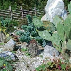 Alpenkräutergarten