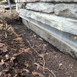 Grove Eco-friendly Pest Control