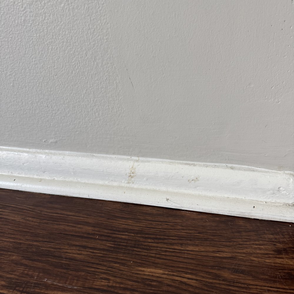 Clean Champs - Home Cleaning Near Me