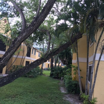 Tivoli Park - Tree that fell during Hurricane Sandy. It still blocks this occupants Windows. - Apartments Near Me - Deerfield Beach, Florida