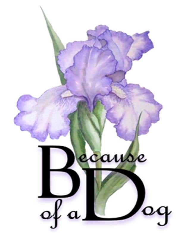 Because Of A Dog - social services organization in Bethlehem, PA