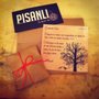 Photo of Pisanli