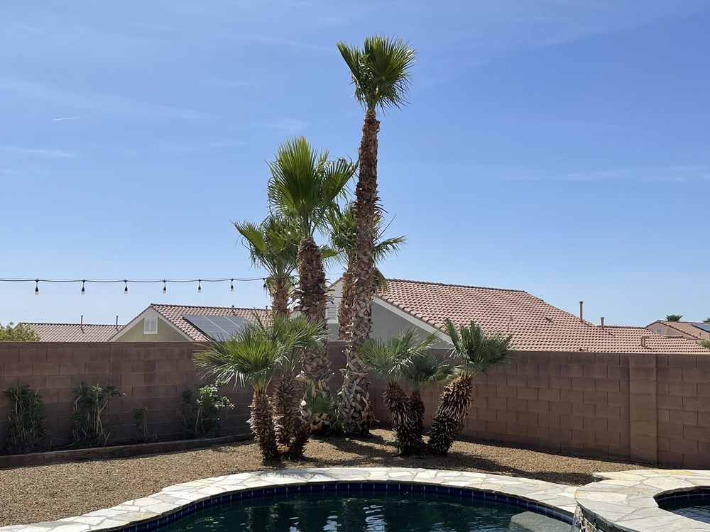 GG Groundskeeping - tree service in Las Vegas, NV
