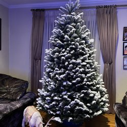 Pasadena Christmas Trees - Our flocked Christmas tree!